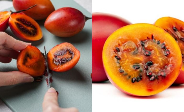 Manfaat Terong Belanda & Cara Mengonsumsi Dengan Benar