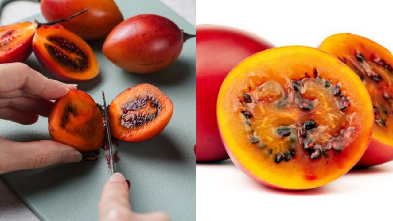 Manfaat Terong Belanda & Cara Mengonsumsi Dengan Benar